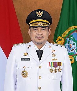 Gubernur_Sumatera_Utara_Muhammad_Bobby_Afif_Nasution_Sutan_Porang_Gunung_Baringin_Naposo (1)